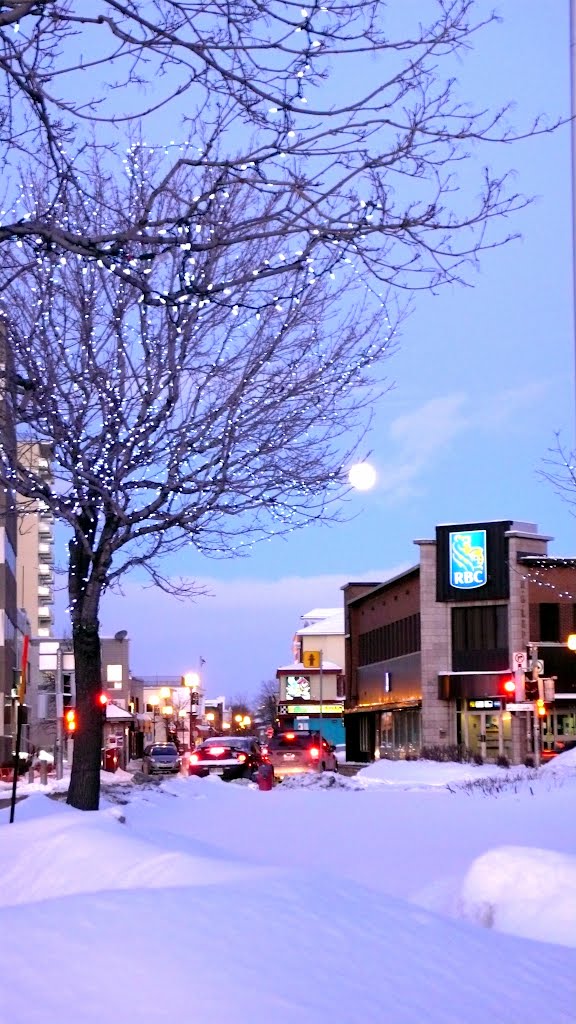 Lune de fin de journée à Riki -  (Rimouski, QC., Ca