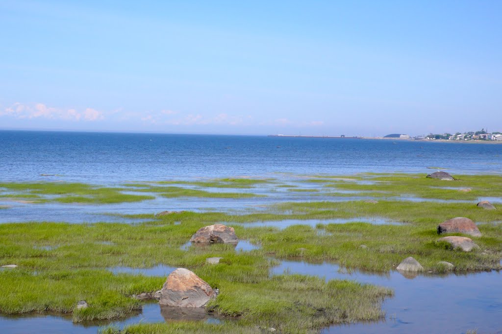 Le fleuve Saint-Laurent, à Rimouski
