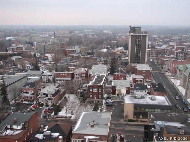 Rooftop view looking east