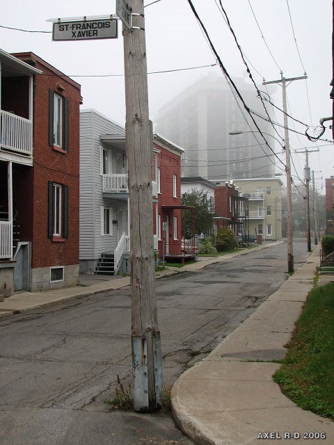 Early morning fog