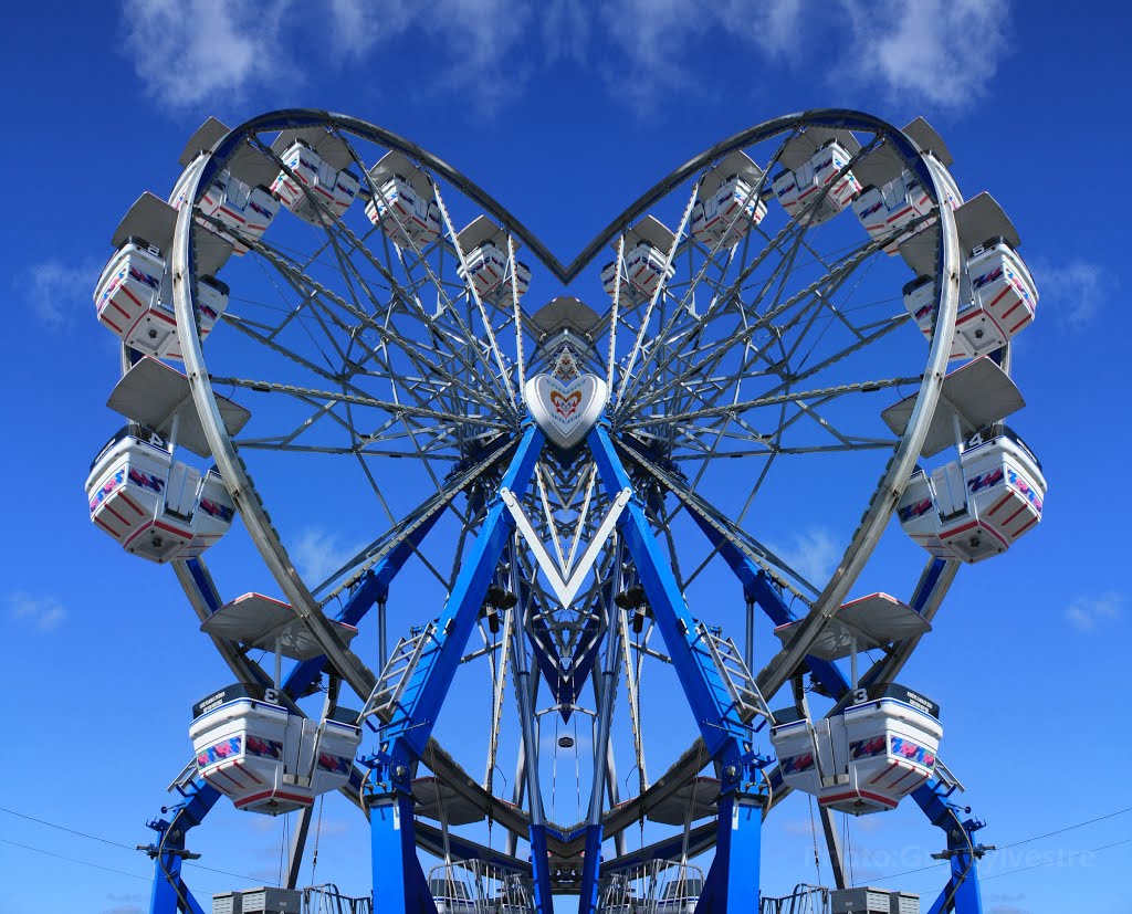 DOUBLE VISION