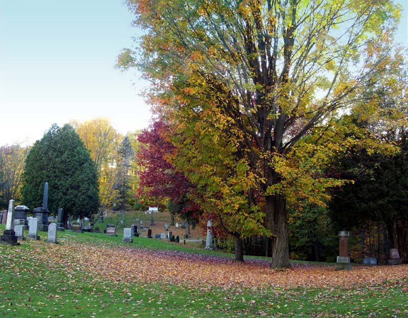Elmwood Cemetary