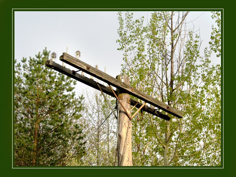 Old telegraphic pole