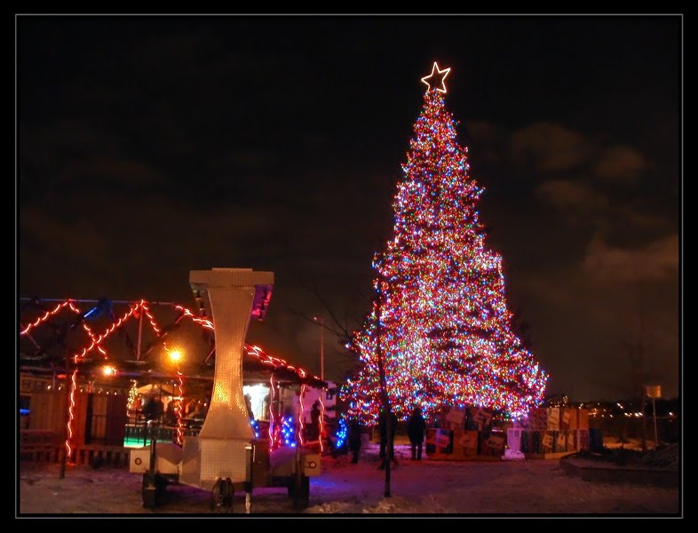 L`arbre de Noël a Sherbrooke