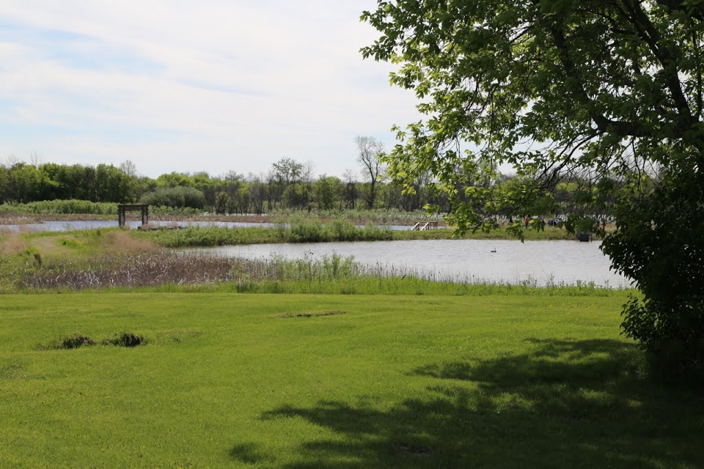 Backyard of main building