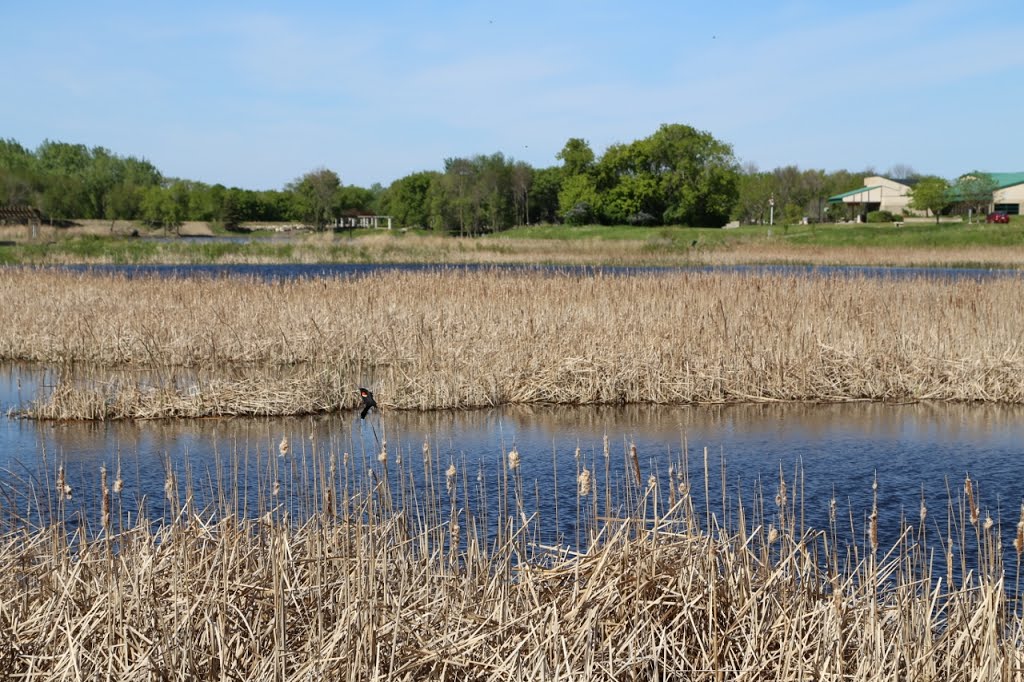 Slough in center of grounds