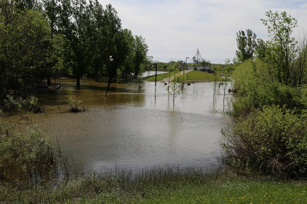 Flooded walkway in spring