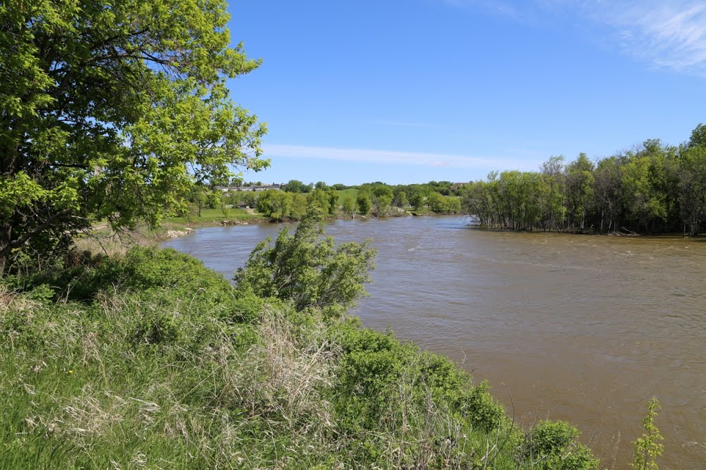 River in spring