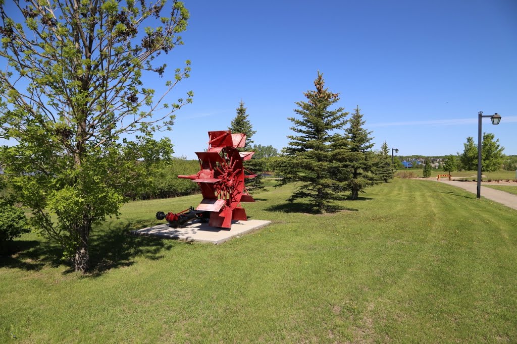 Paddle wheel