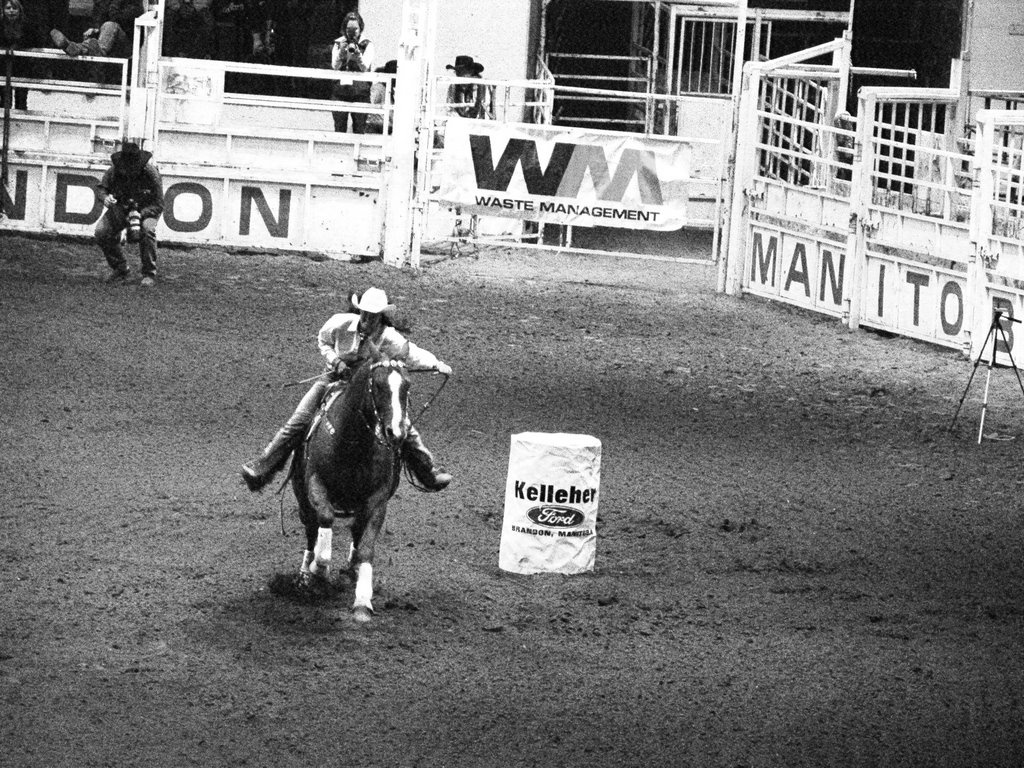 Wheat City Stampede 2008