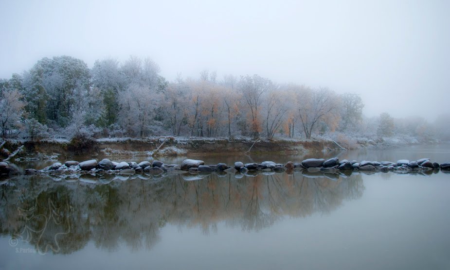 Brandon River Bank