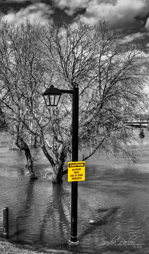 No Walking Today
