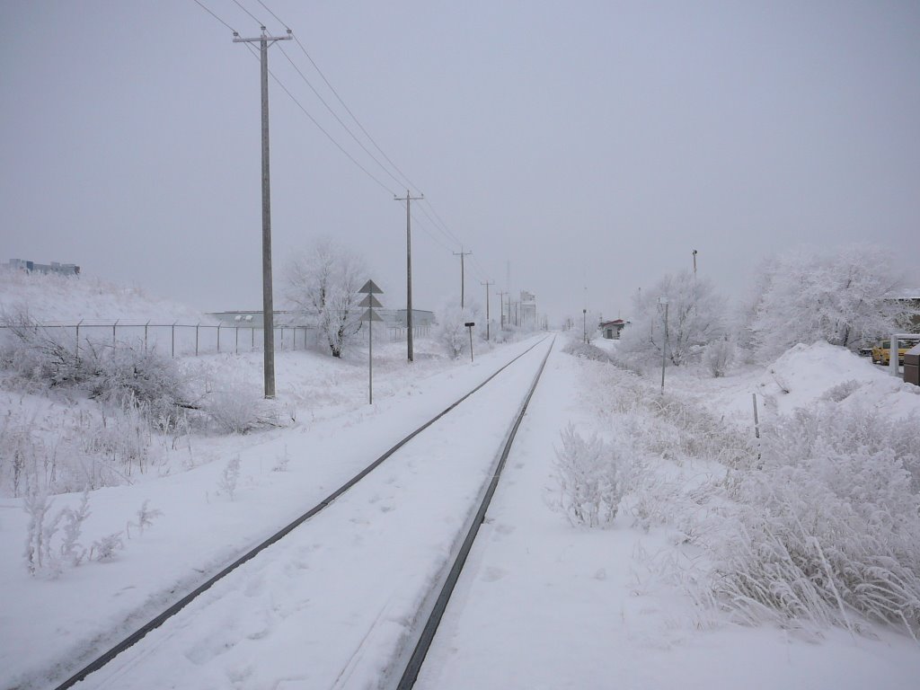 Railway tracks