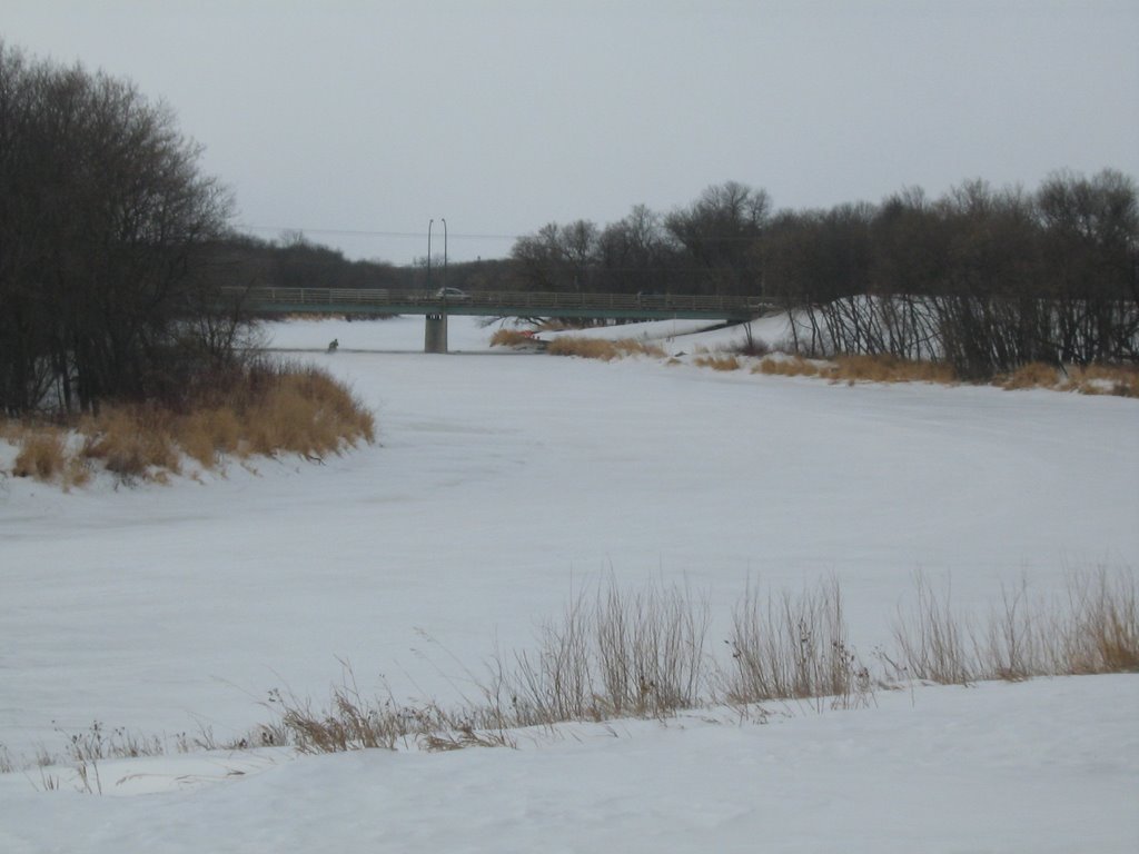 Assiniboine River In Brandon