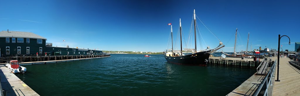 Halifax - Silva