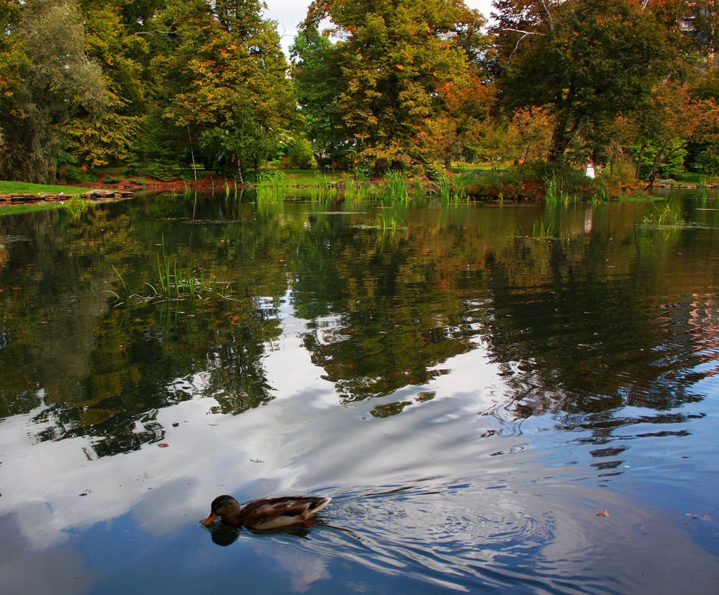 Public Gardens, Halifax, Nova Scotia