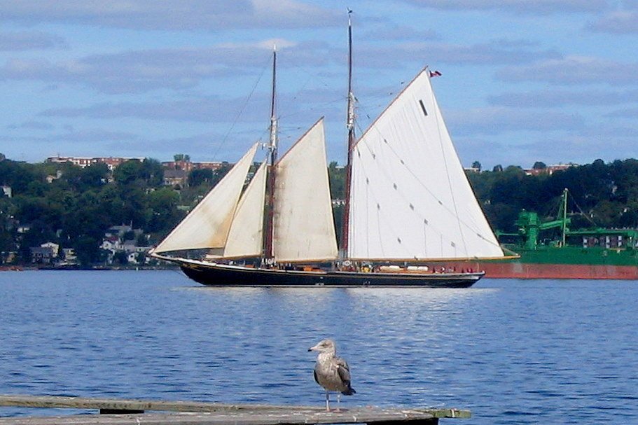 Bluenose II