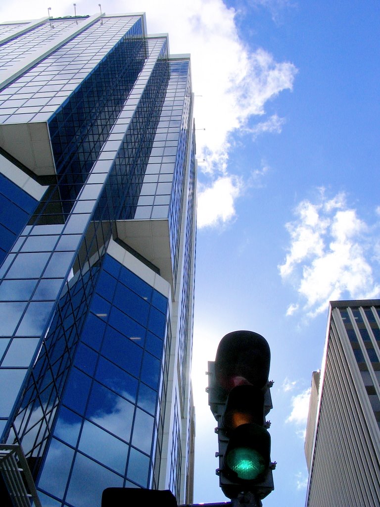 Looking up in Halifax