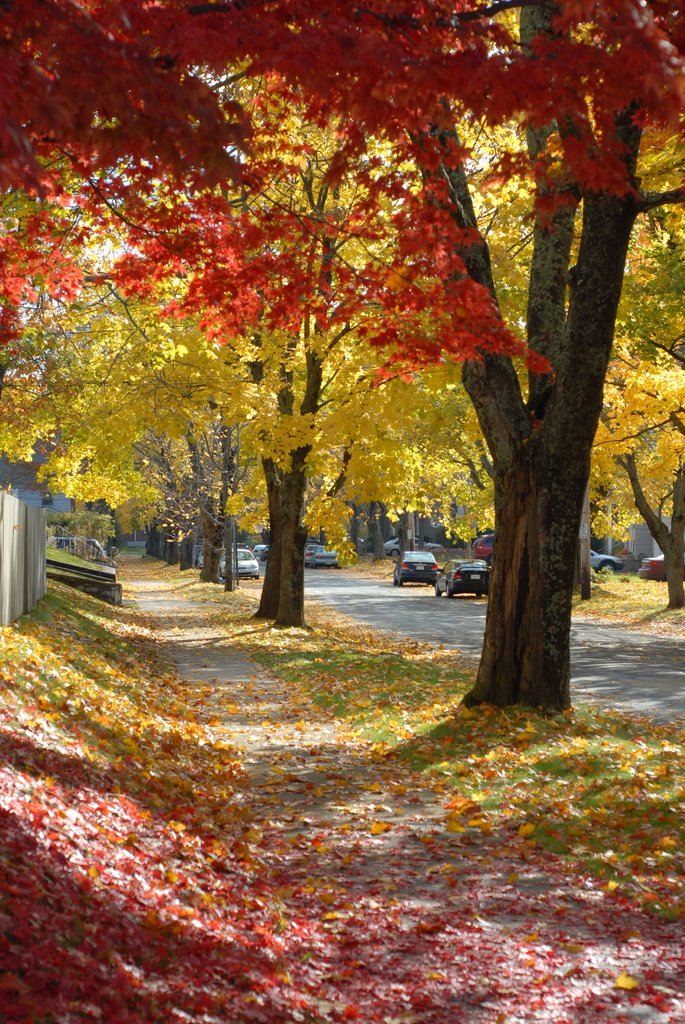 Halifax