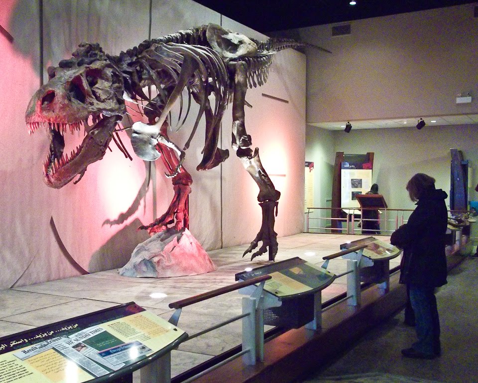 Travelling show AT.REX named SUE Halifax NS