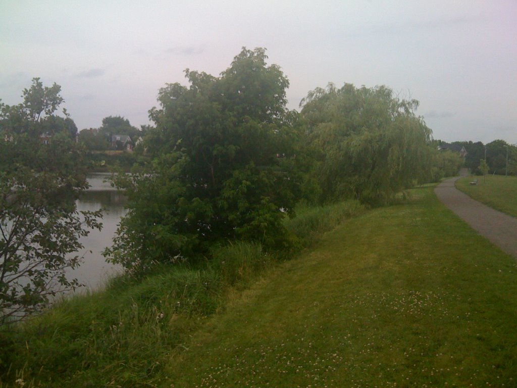 Allong lake trail on Jones Lake