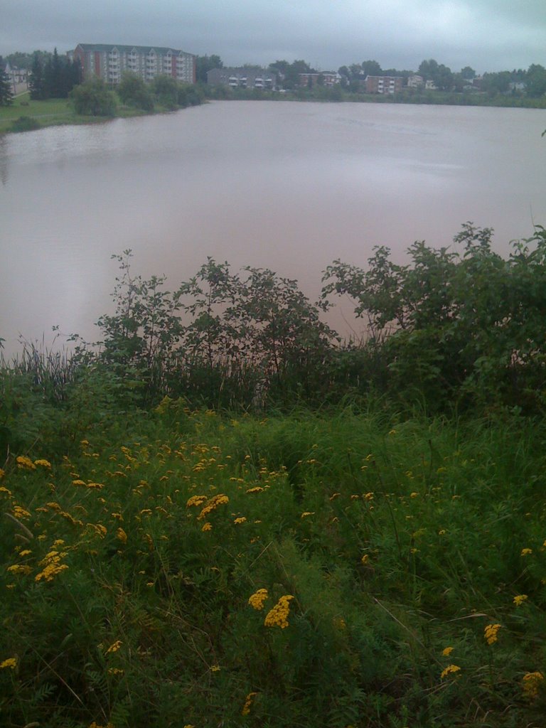 Jones Lake, Moncton NB, Canada