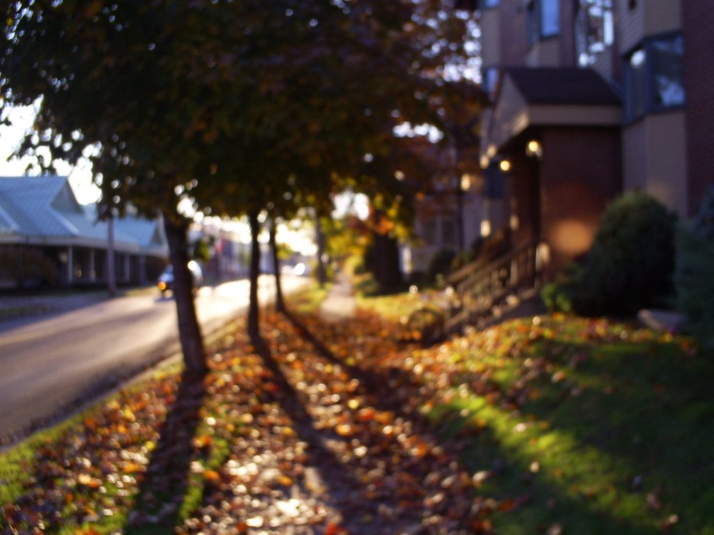 Rue Gordon