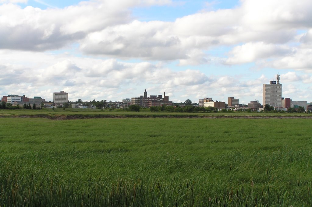 Moncton downtown from Riverview
