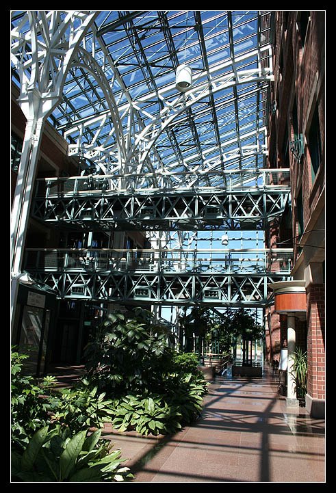 Inside the Blue Cross Center