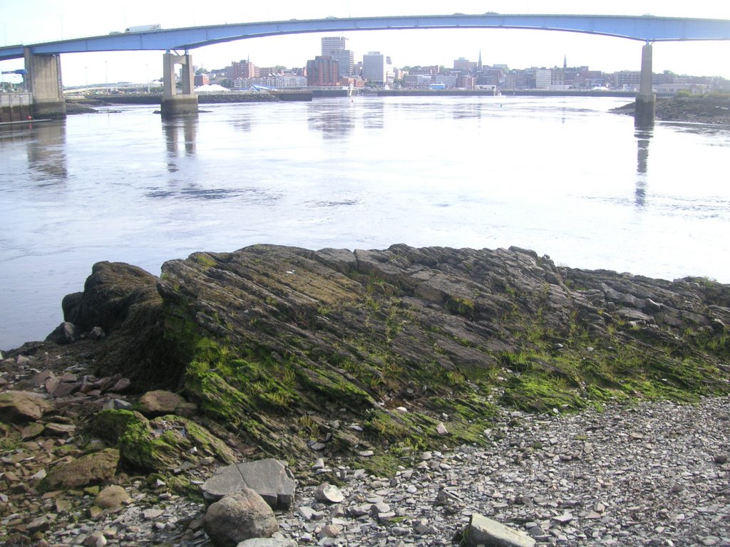 Saint John River