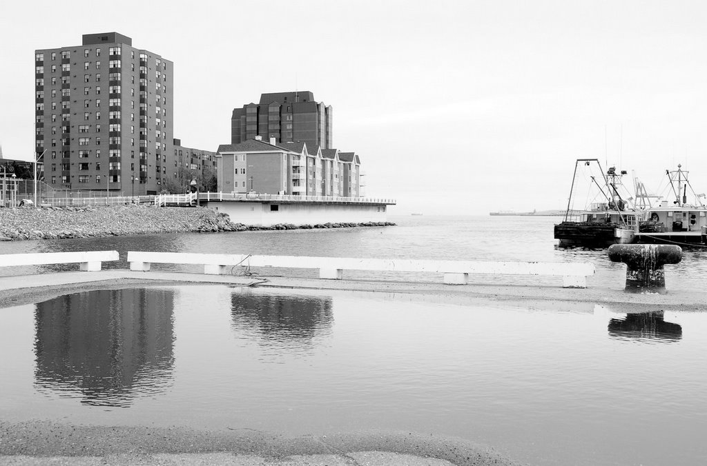 Saint John harbour