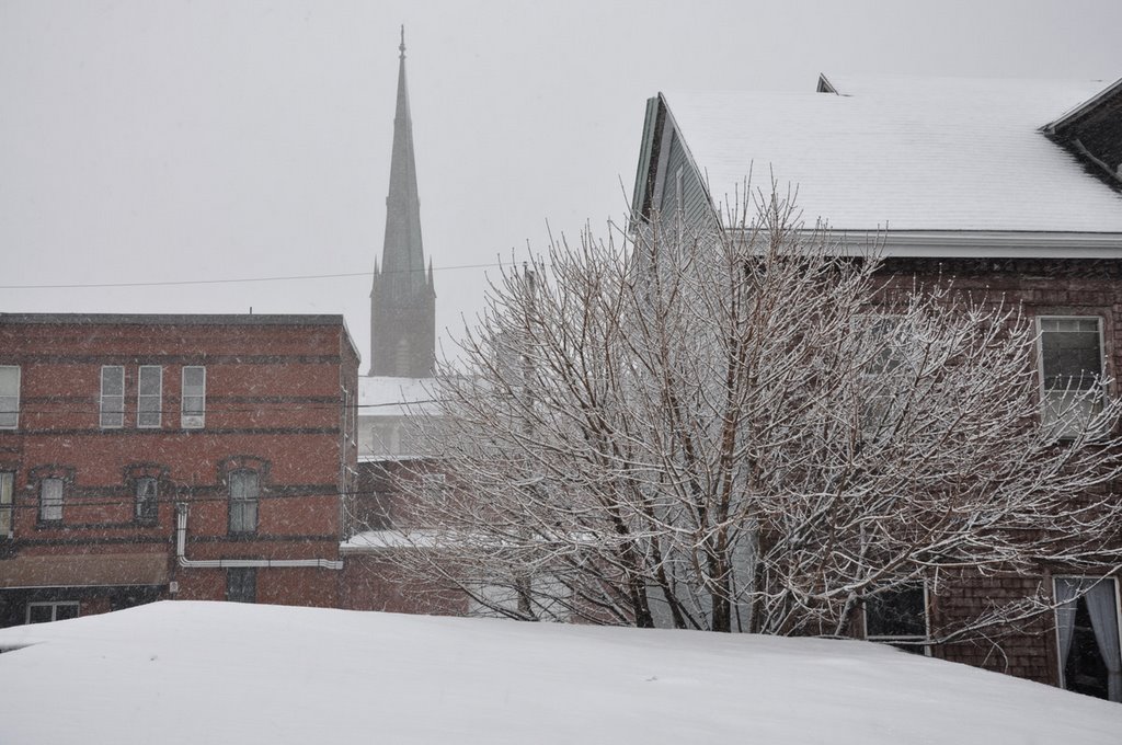 Waterloo Hills