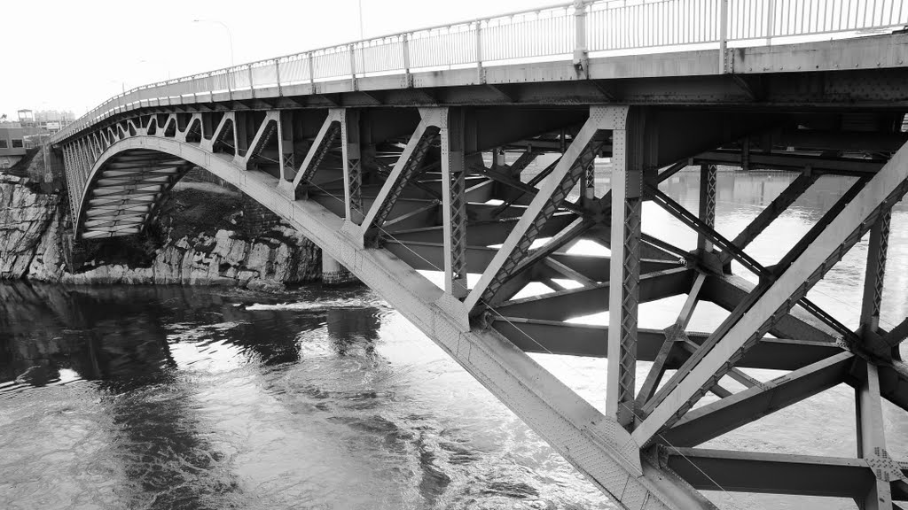 reversing falls bridge
