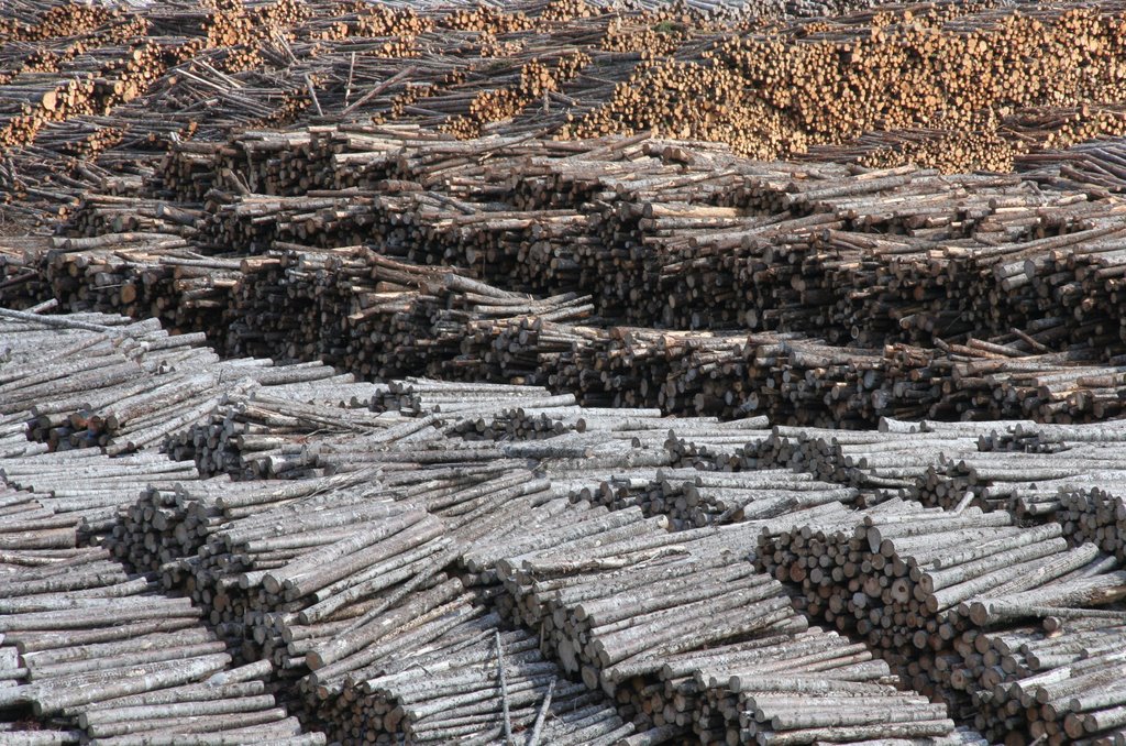Corner Brook Pulp and Paper Ltd