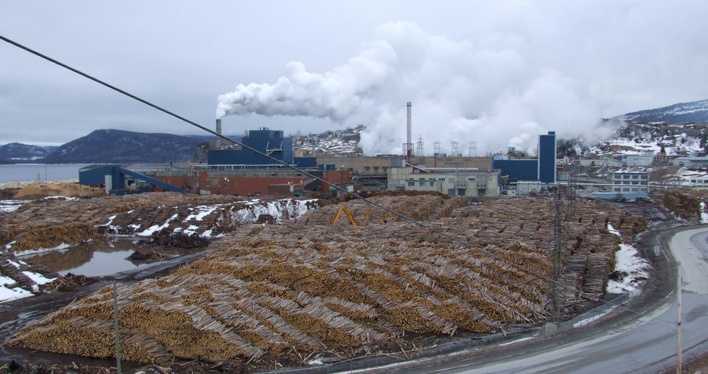 paper mill, corner brook, nl