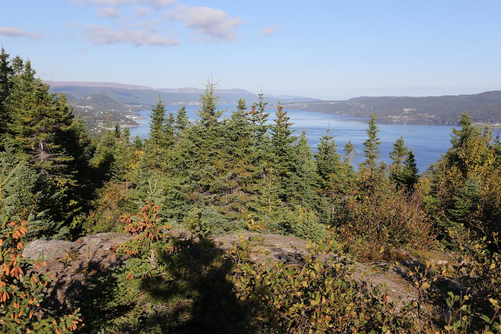 Corner Brook Captain Cooks Lookout