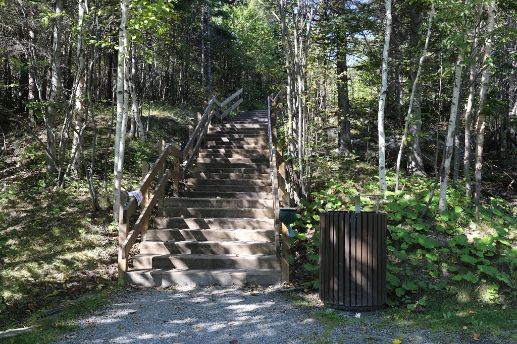 Corner Brook Three Bear Mountain Trailhead