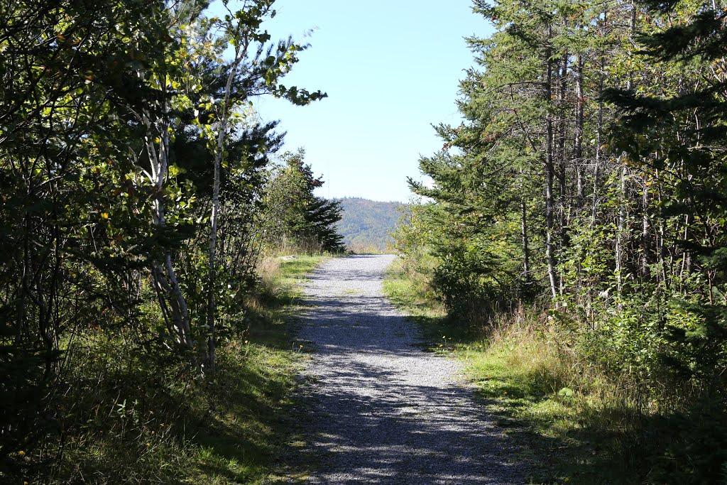Corner Brook Three Bear Mountain Trail