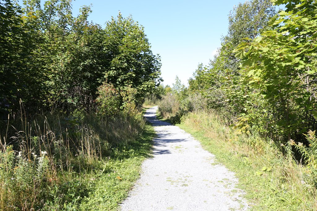 Corner Brook Three Bear Mountain Trail