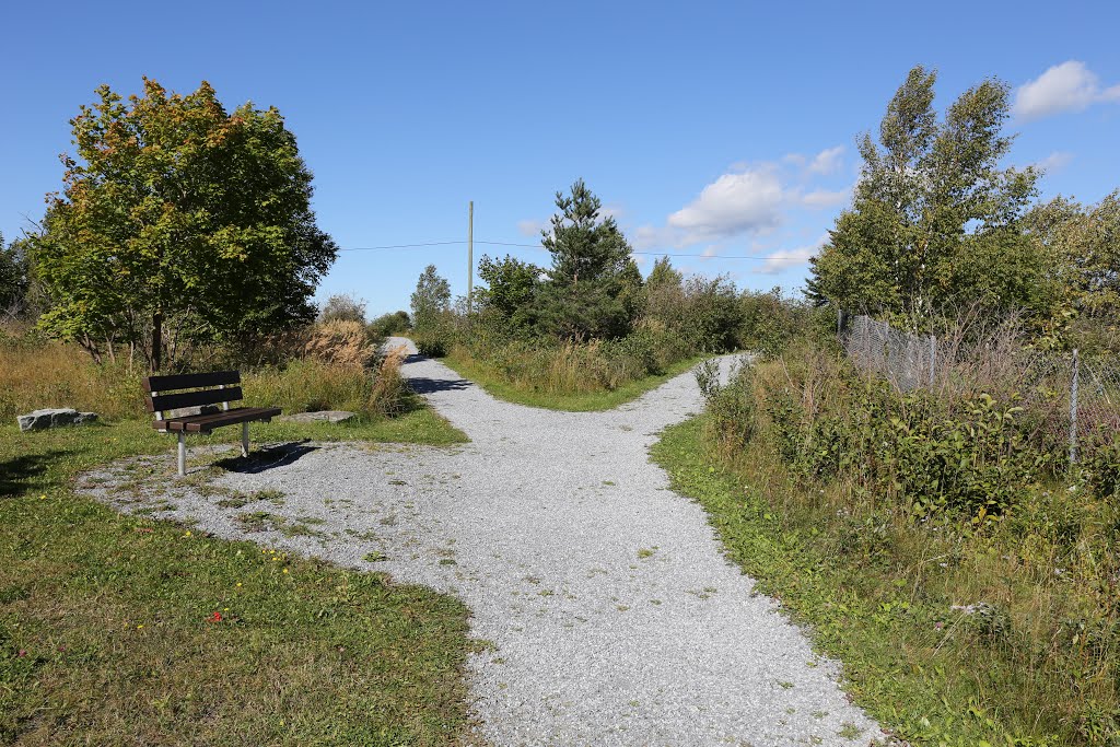 Corner Brook Three Bear Mountain Trail