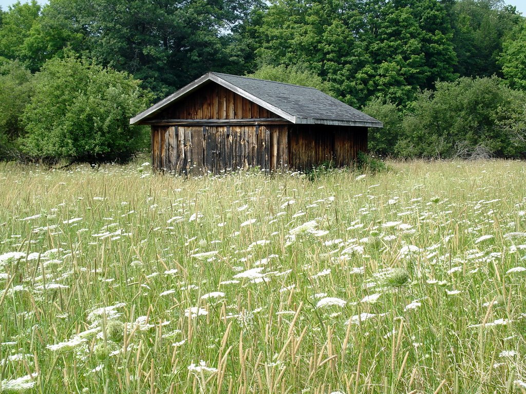 Cider Shanty