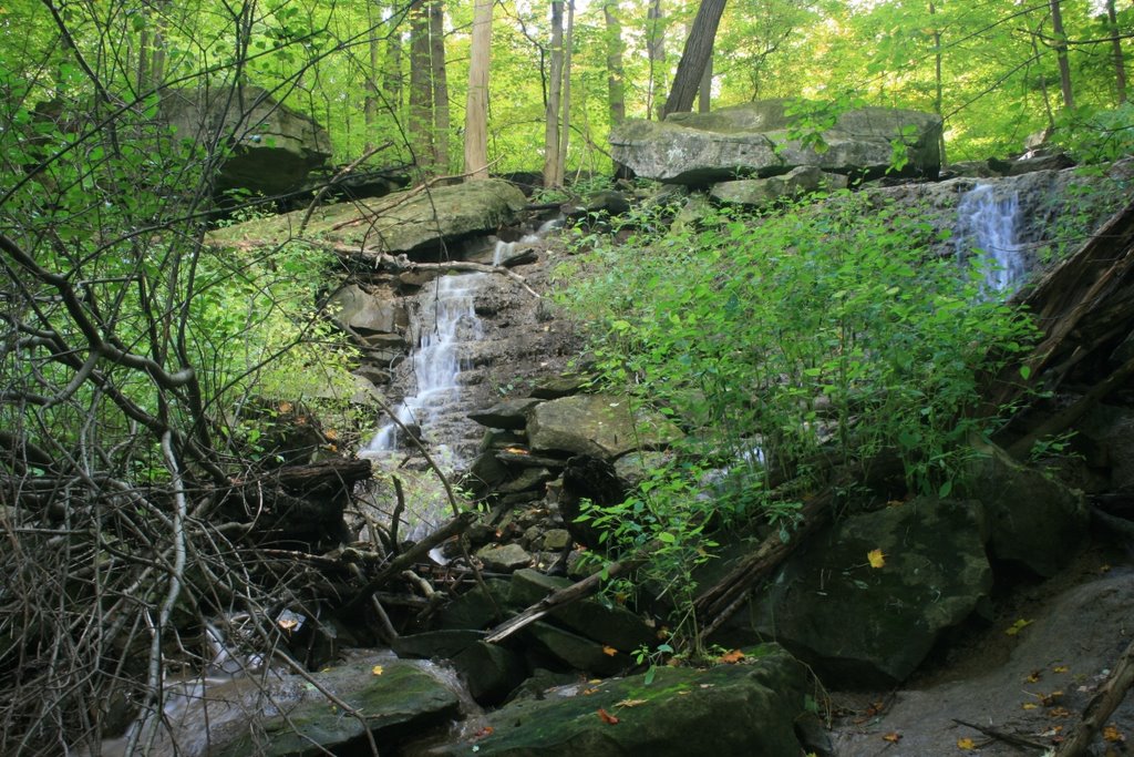 Sister of Mary Falls