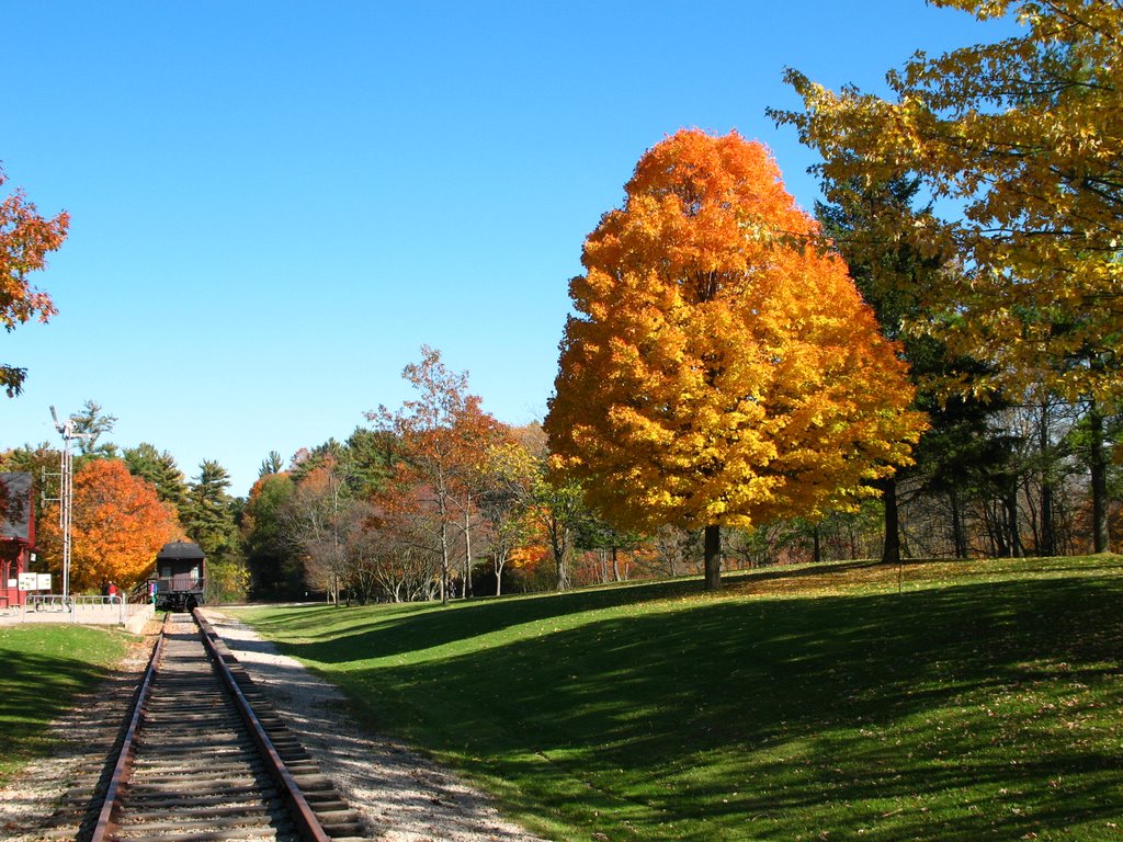 Autumn scene at Rail Trail Station