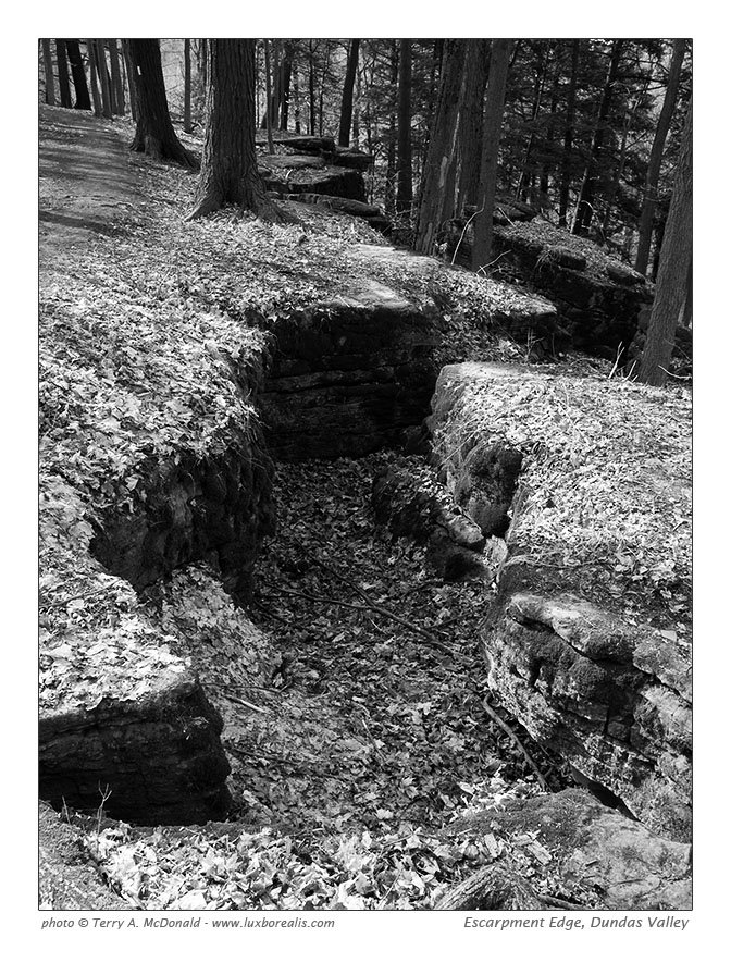 Escarpment Edge, Dundas Valley