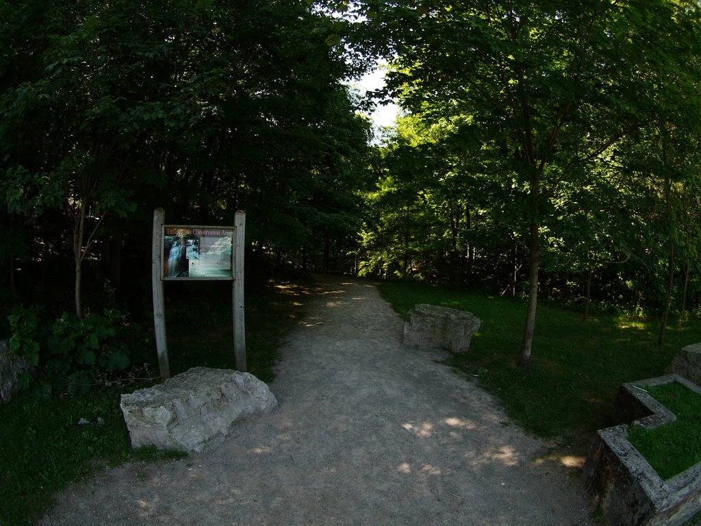 Tiffany Falls
