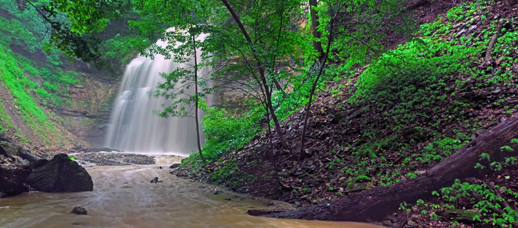 Tiffany Falls June Panorama