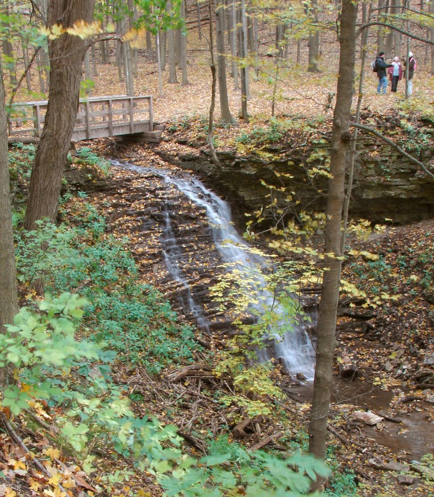 Canterbury Falls in Autumn in Hamilton Canada