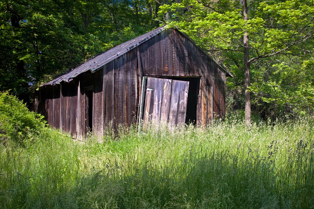 Old shed