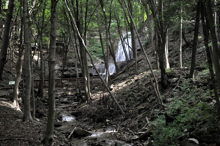 Ancaster Ontario: Sherman Falls