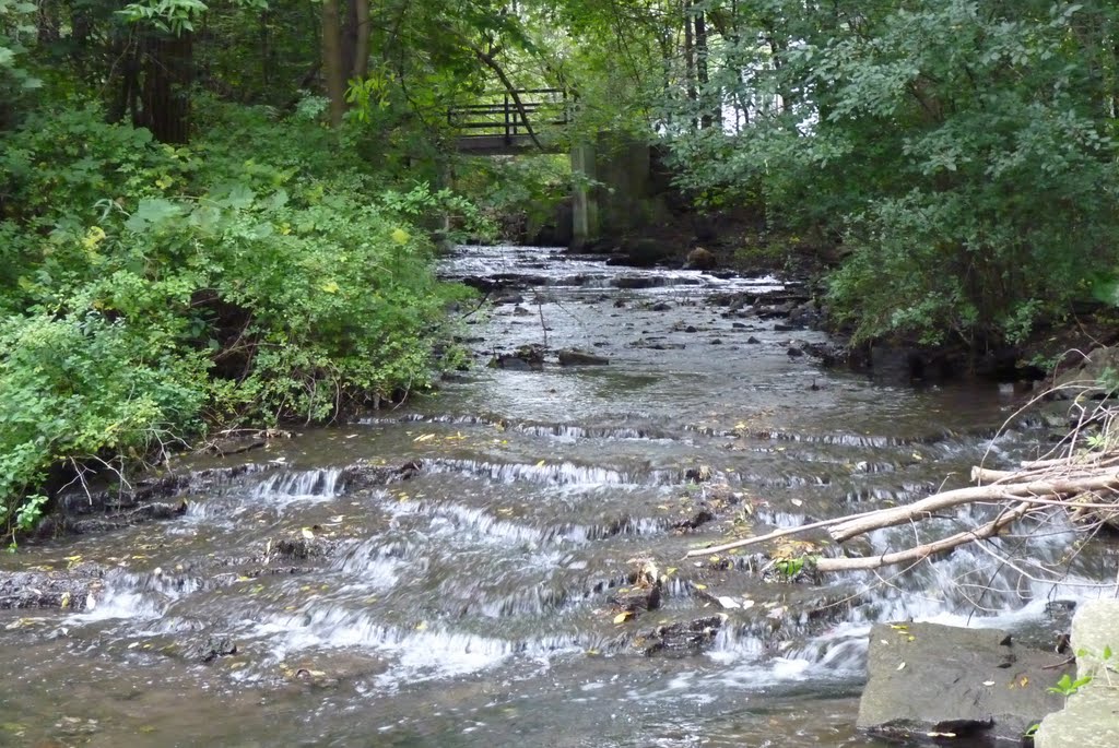 Rousseaux Cascade
